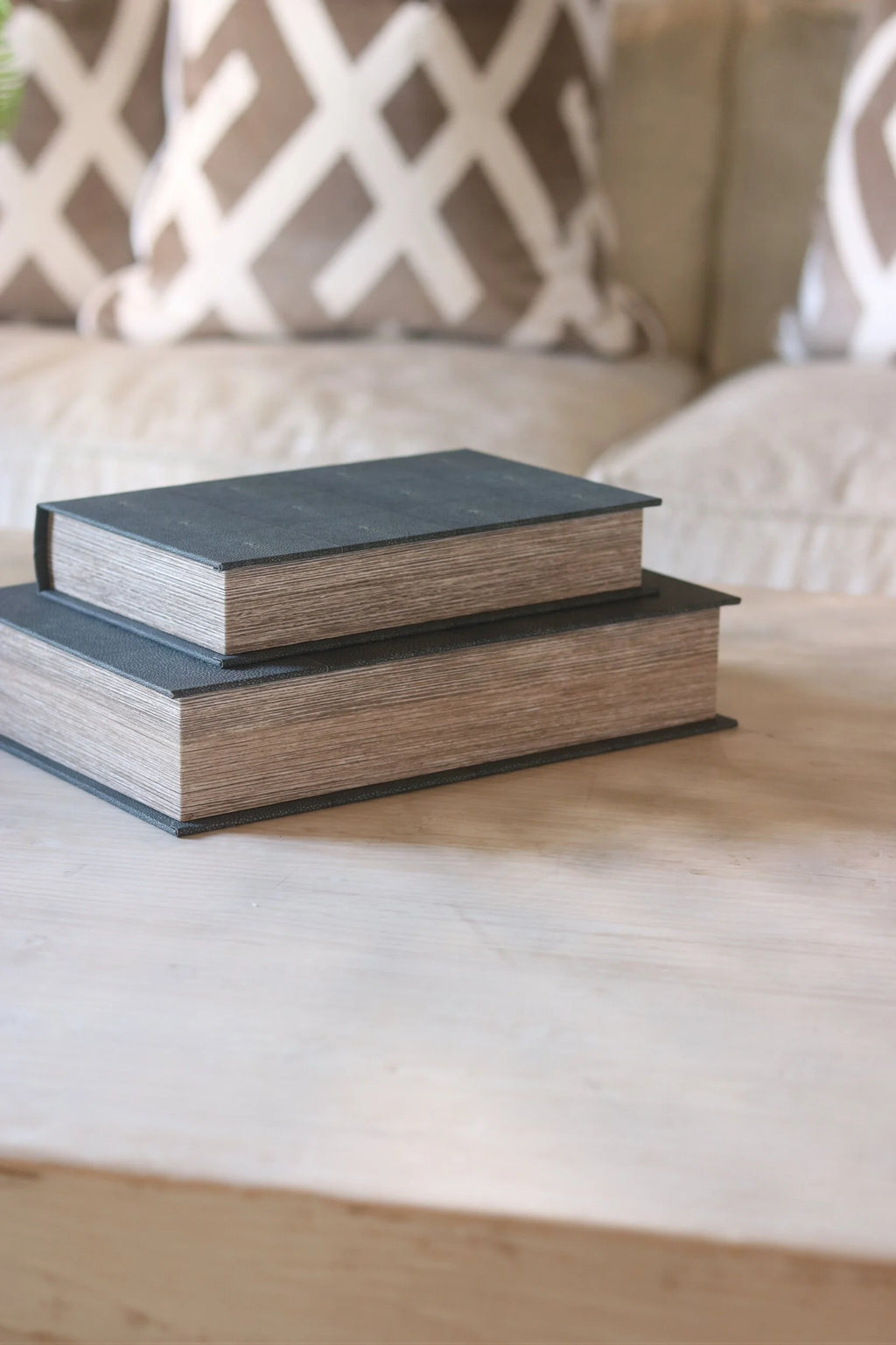 Set of 2 Faux Shagreen Book Boxes