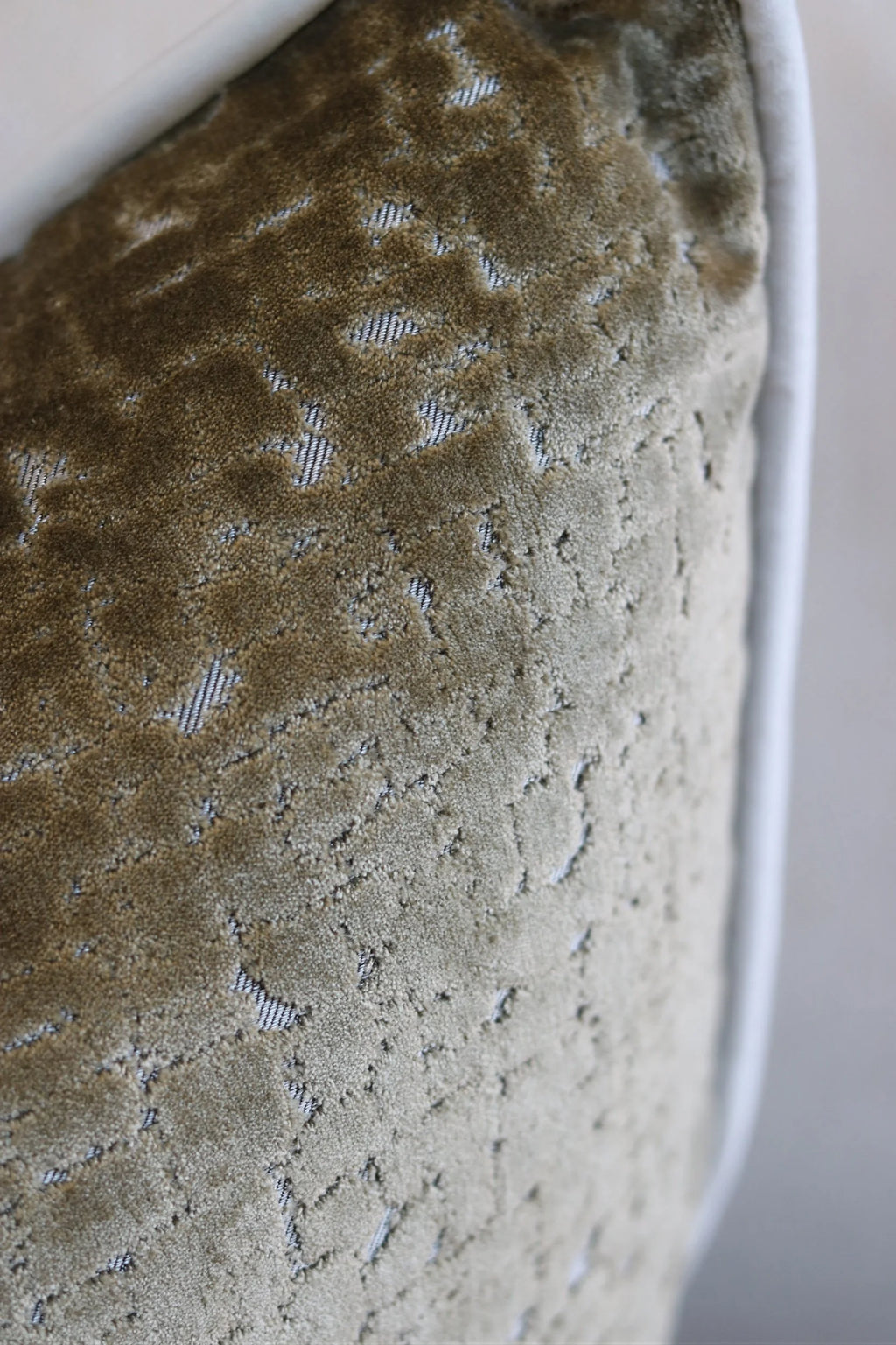 Limited Edition 'Biscotti Style' Cushion