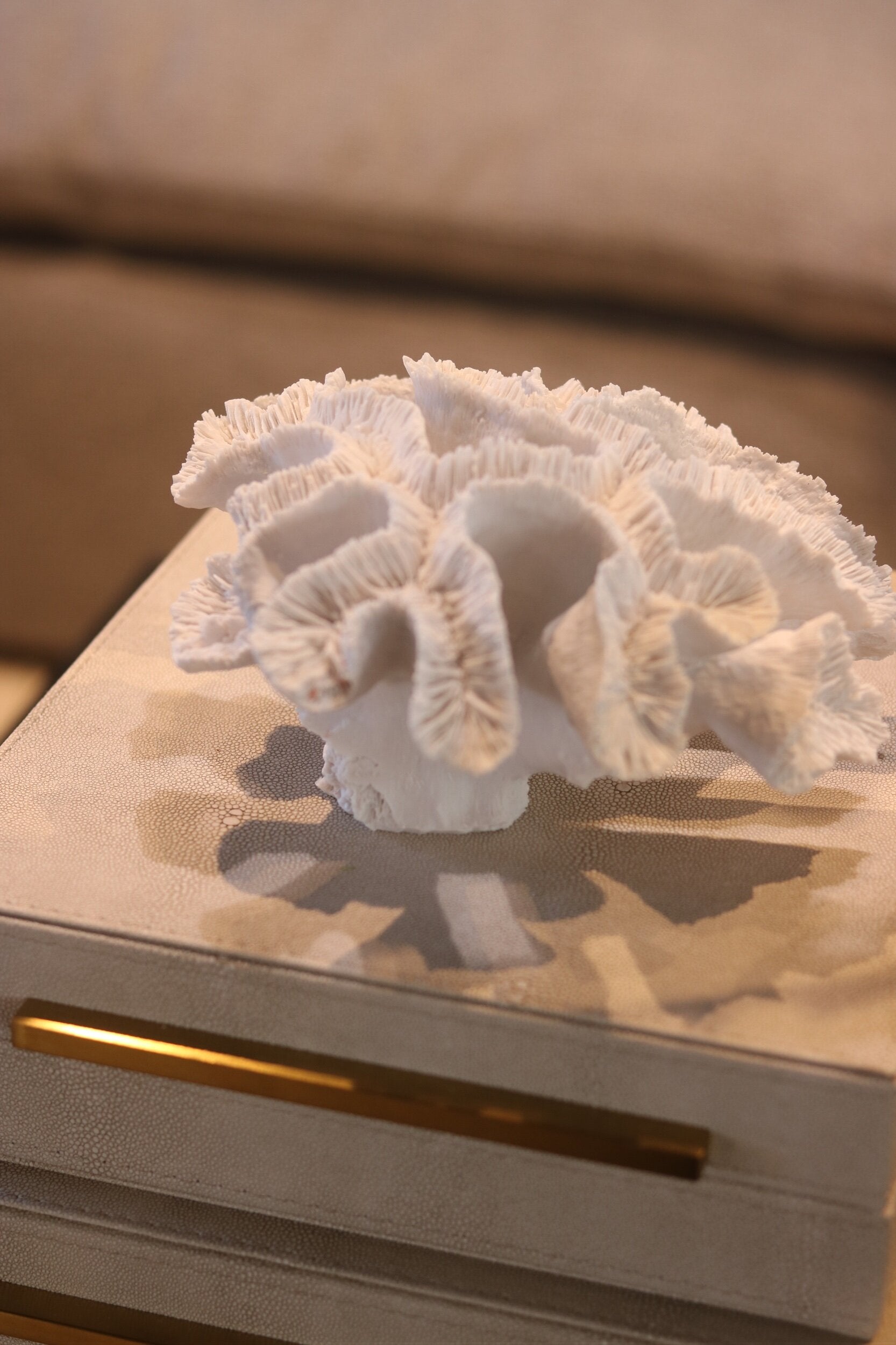 Small White Faux Coral