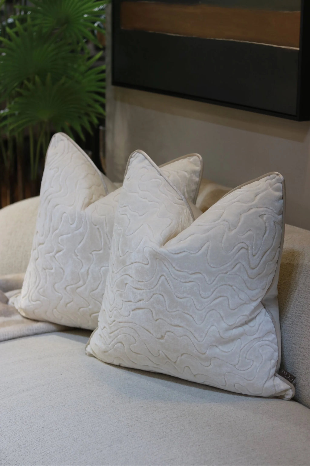 Dream Moonbeam Cushion