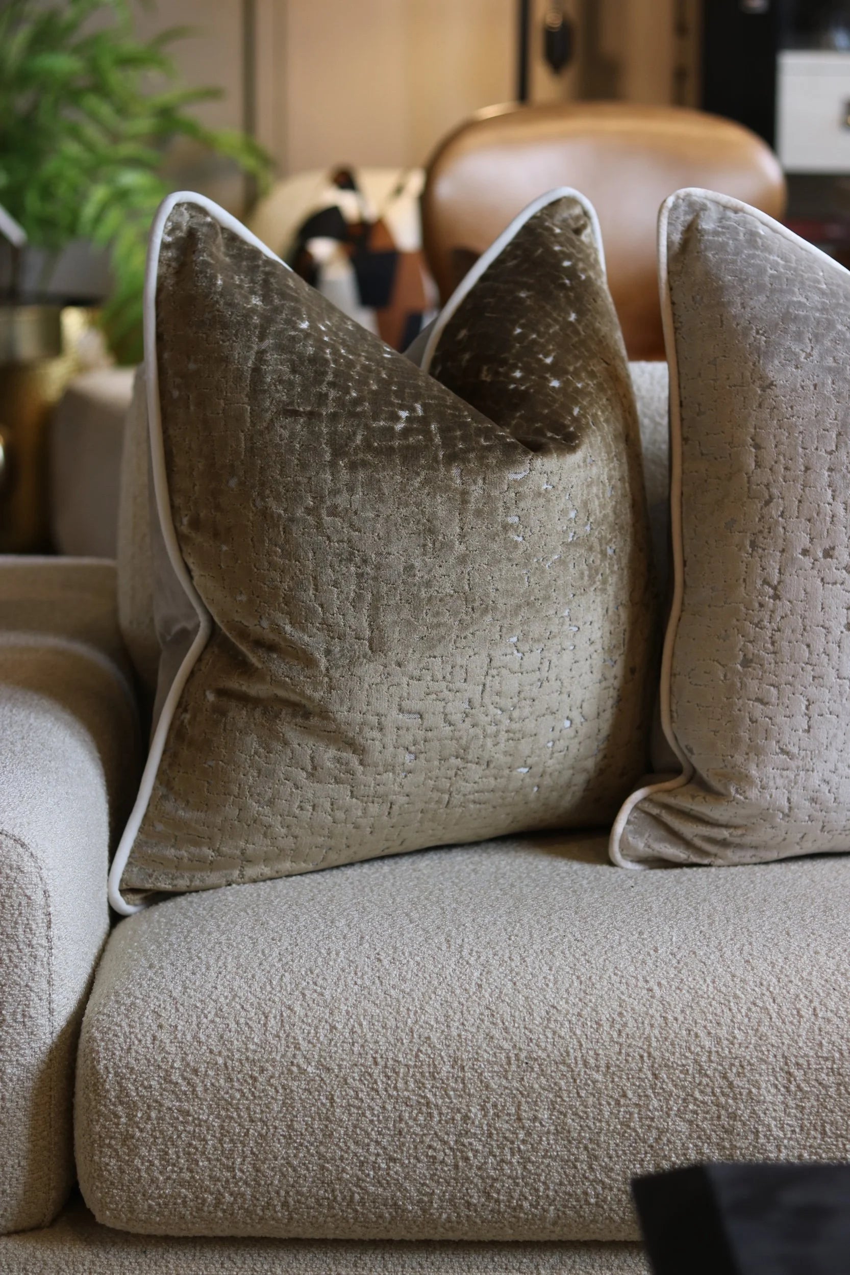Limited Edition 'Biscotti Style' Cushion