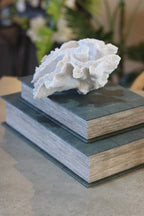 Set of 2 Faux Shagreen Book Boxes