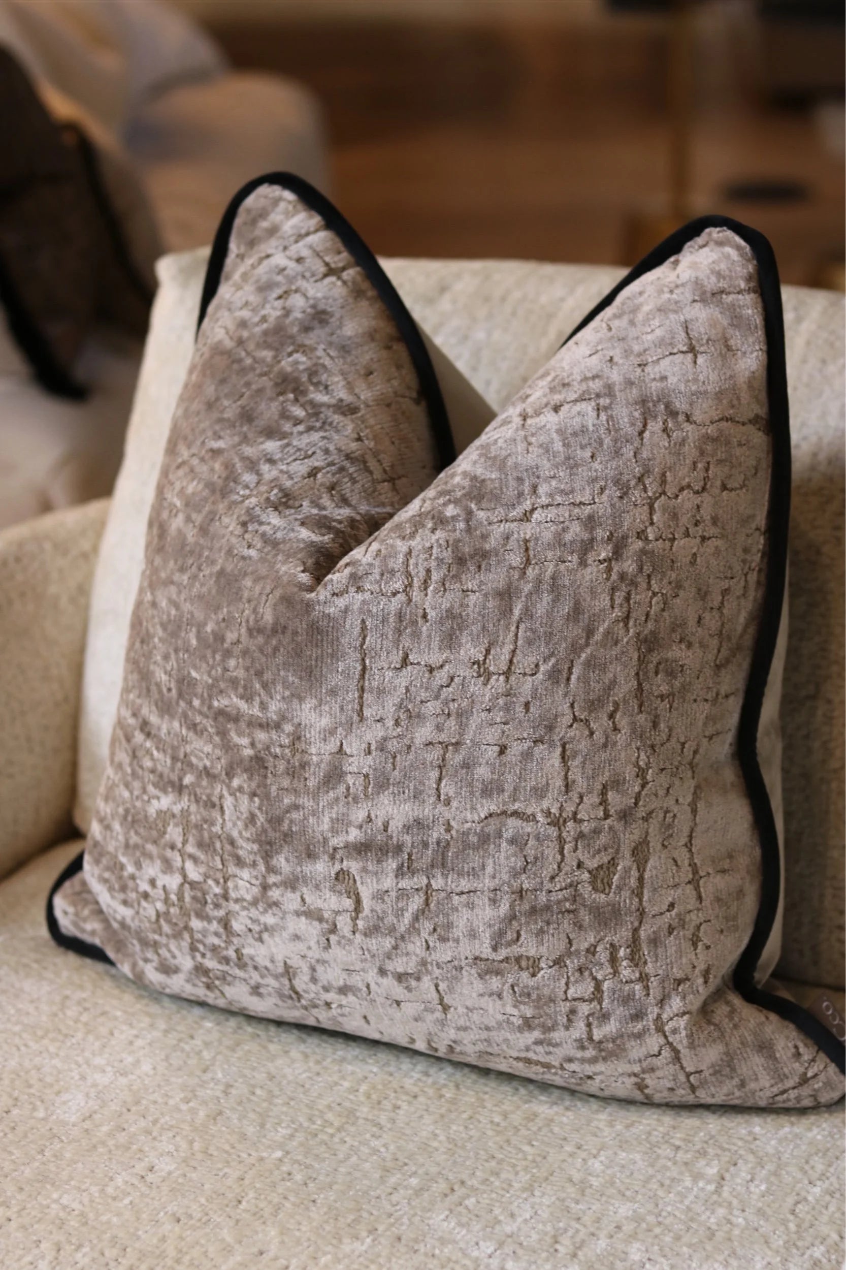Ellice Spacedust Cushion