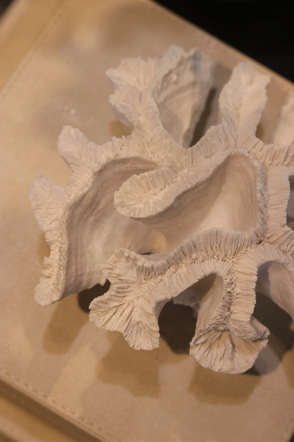 Small White Faux Coral