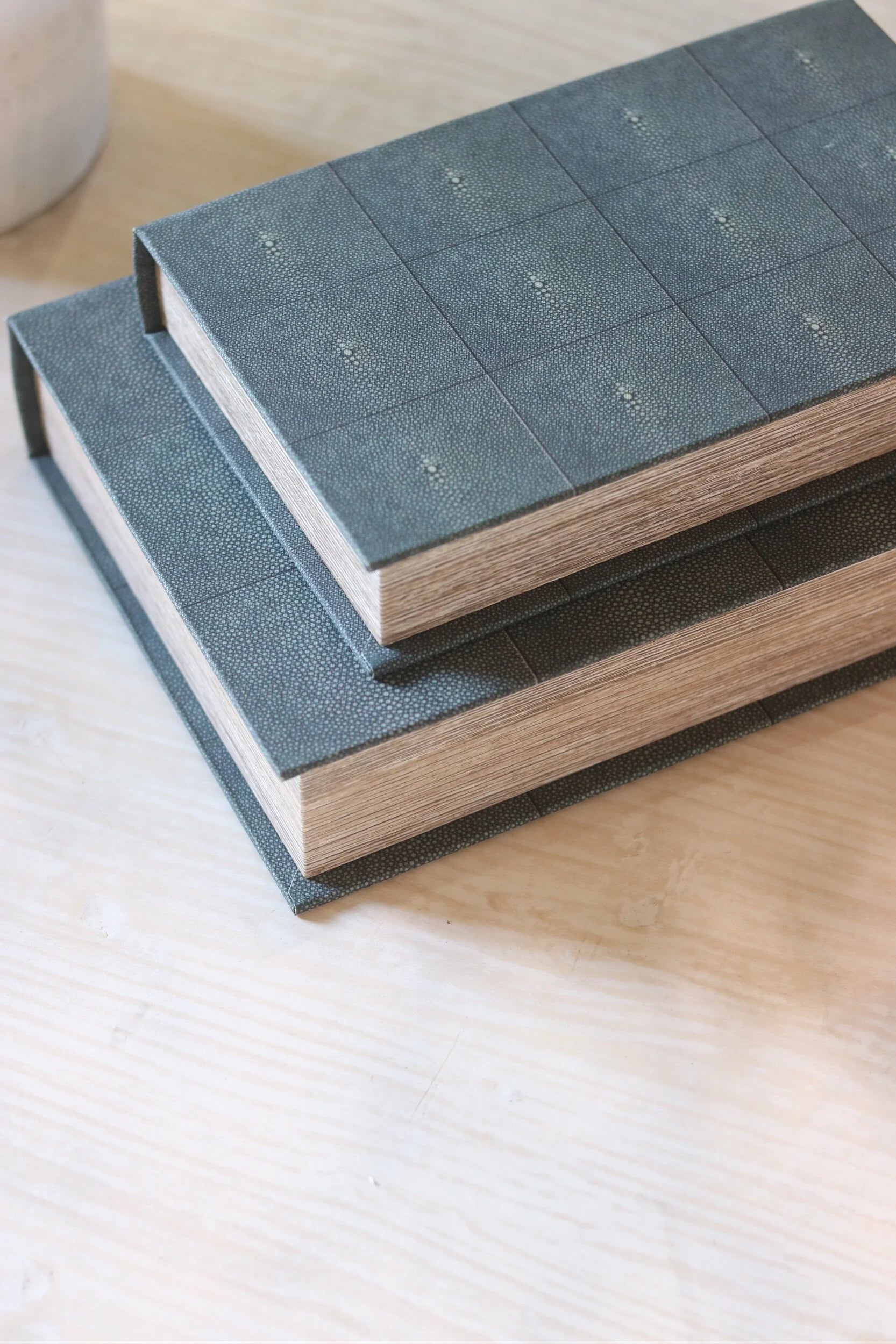 Set of 2 Faux Shagreen Book Boxes