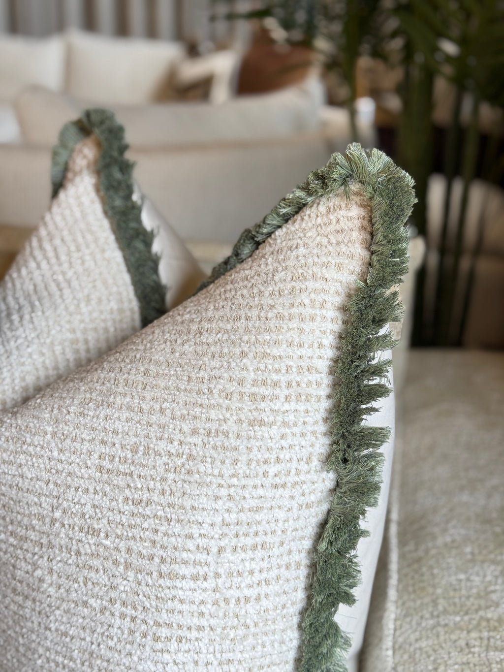 Barbudi Moonbeam Cushion