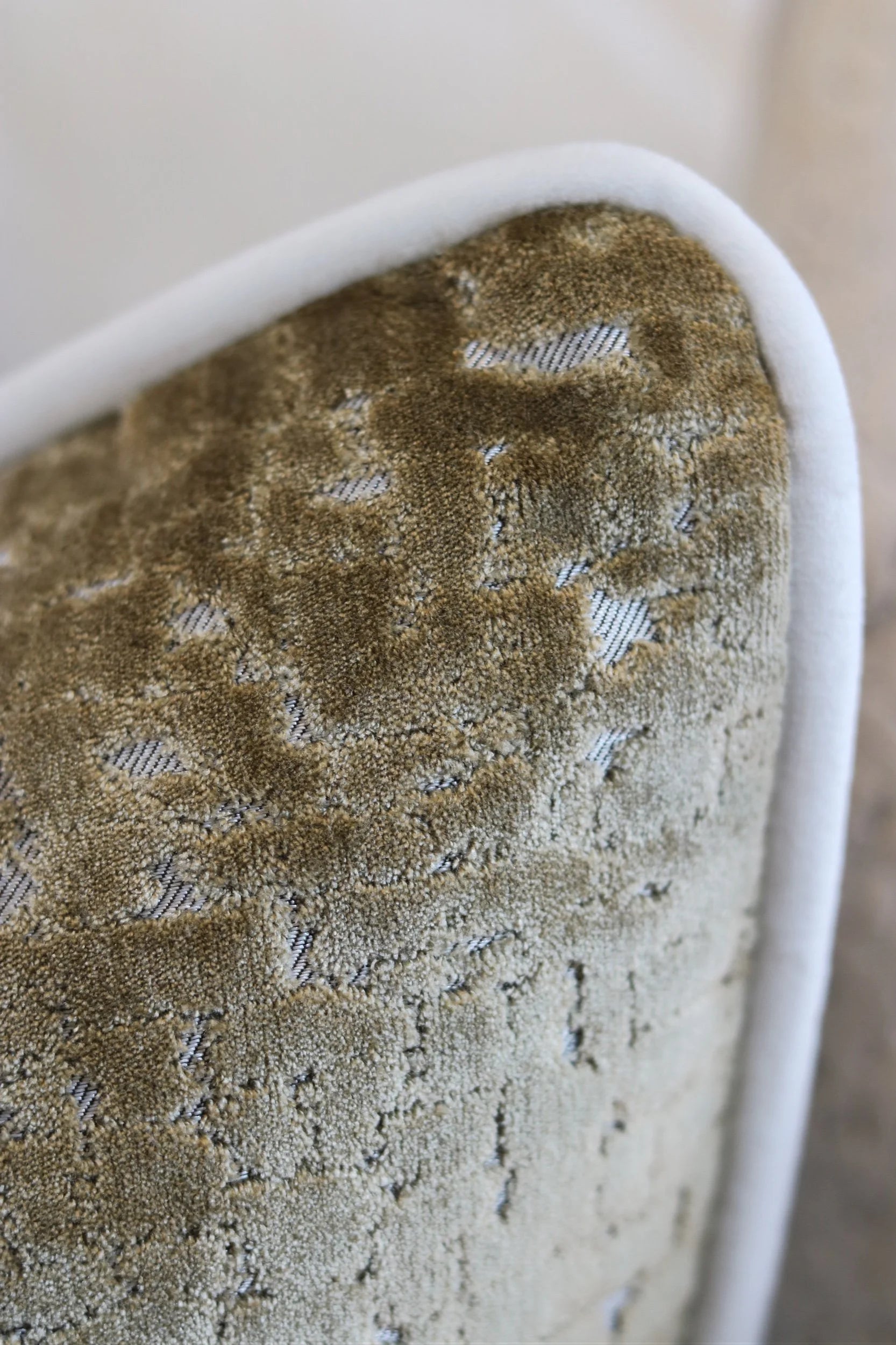 Limited Edition 'Biscotti Style' Cushion
