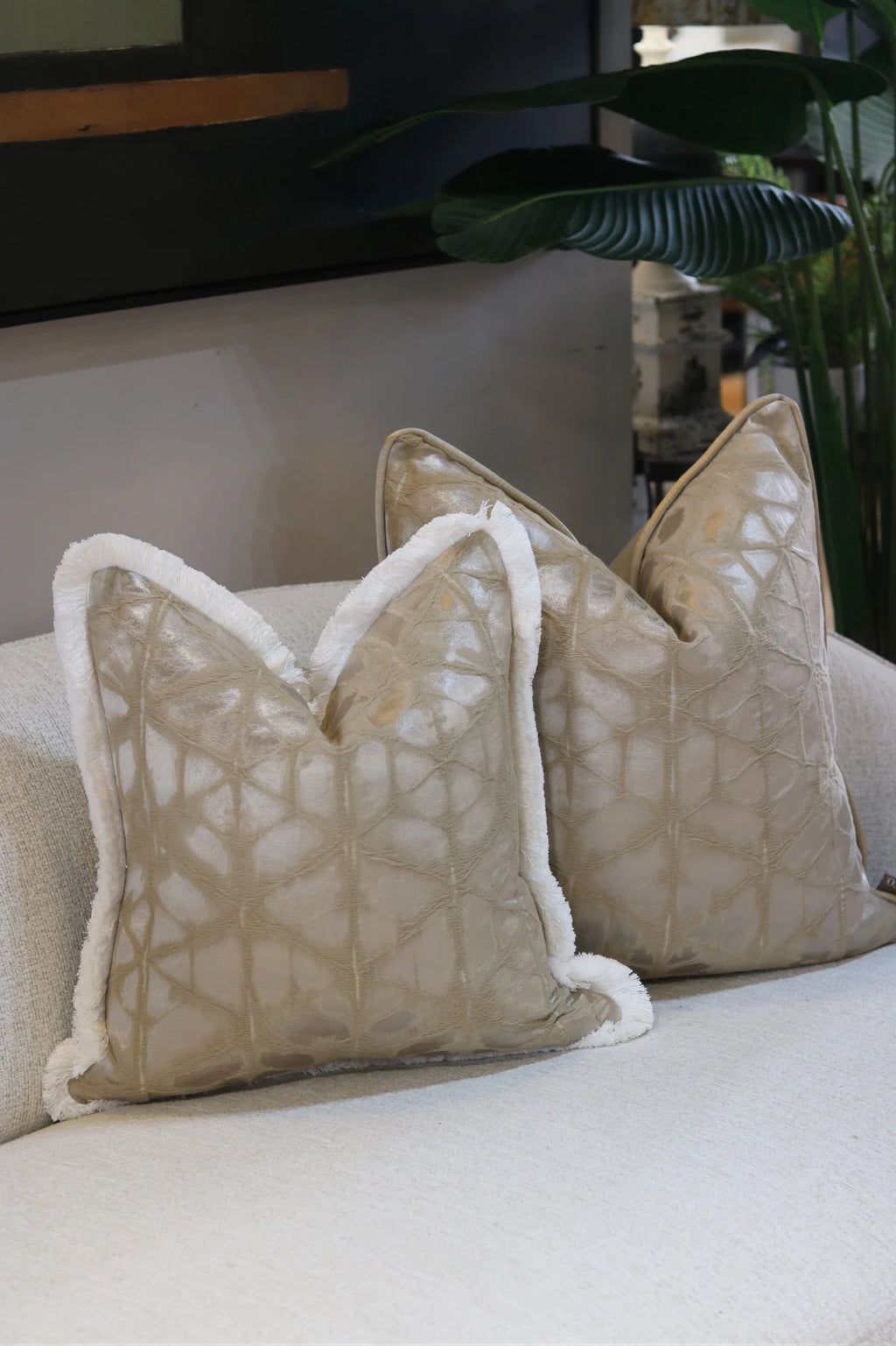 Limited Edition 'Gold Starburst' Cushion