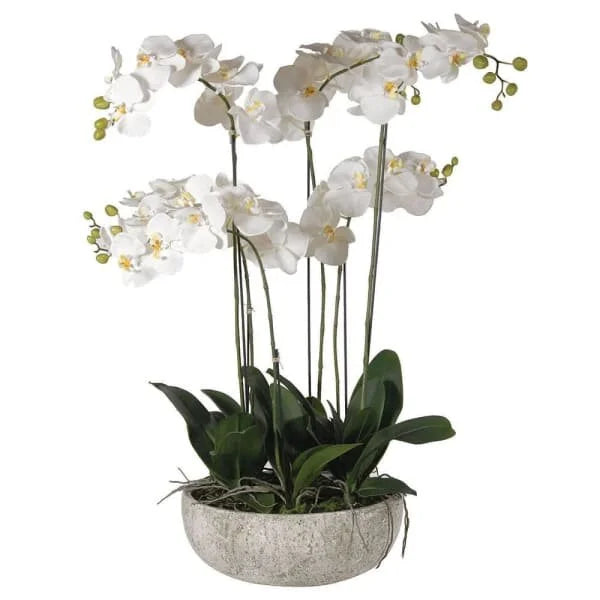 Ex Large Stone-Look Bowl Orchid