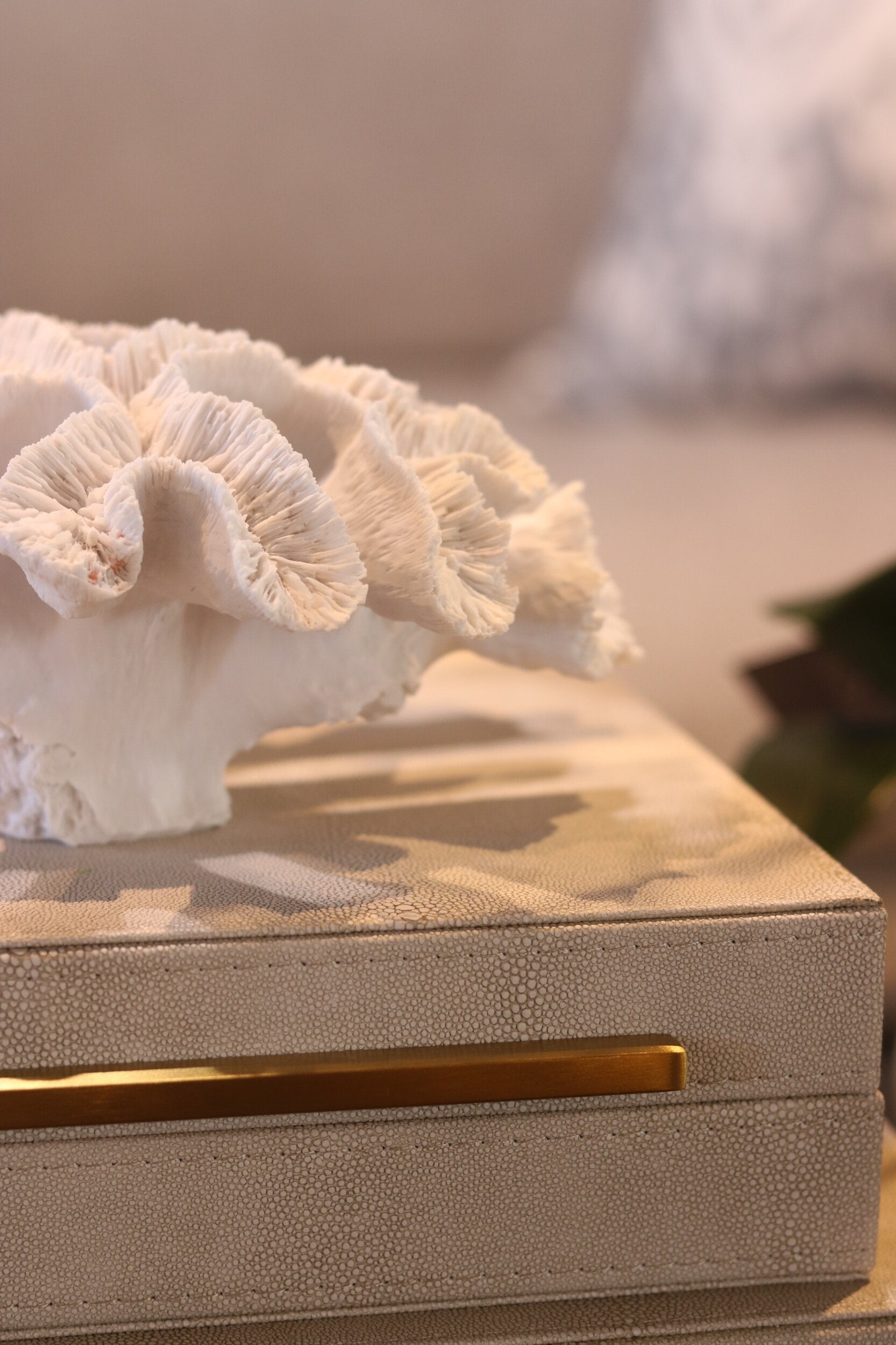 Small White Faux Coral