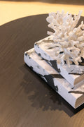 Set of 2 Brush Stroke Book Boxes