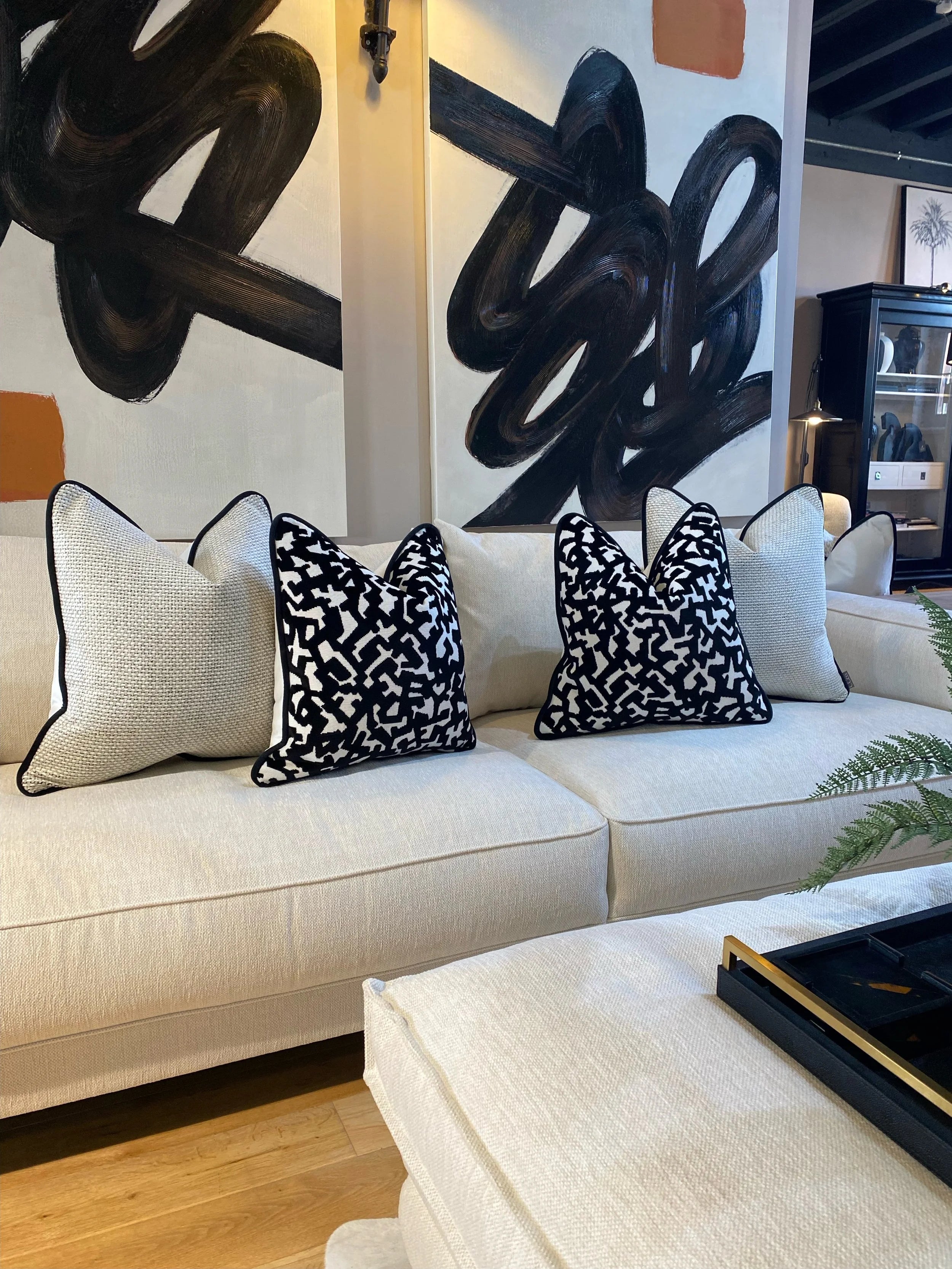 The Monochrome Velvet Sofa Cushion Set