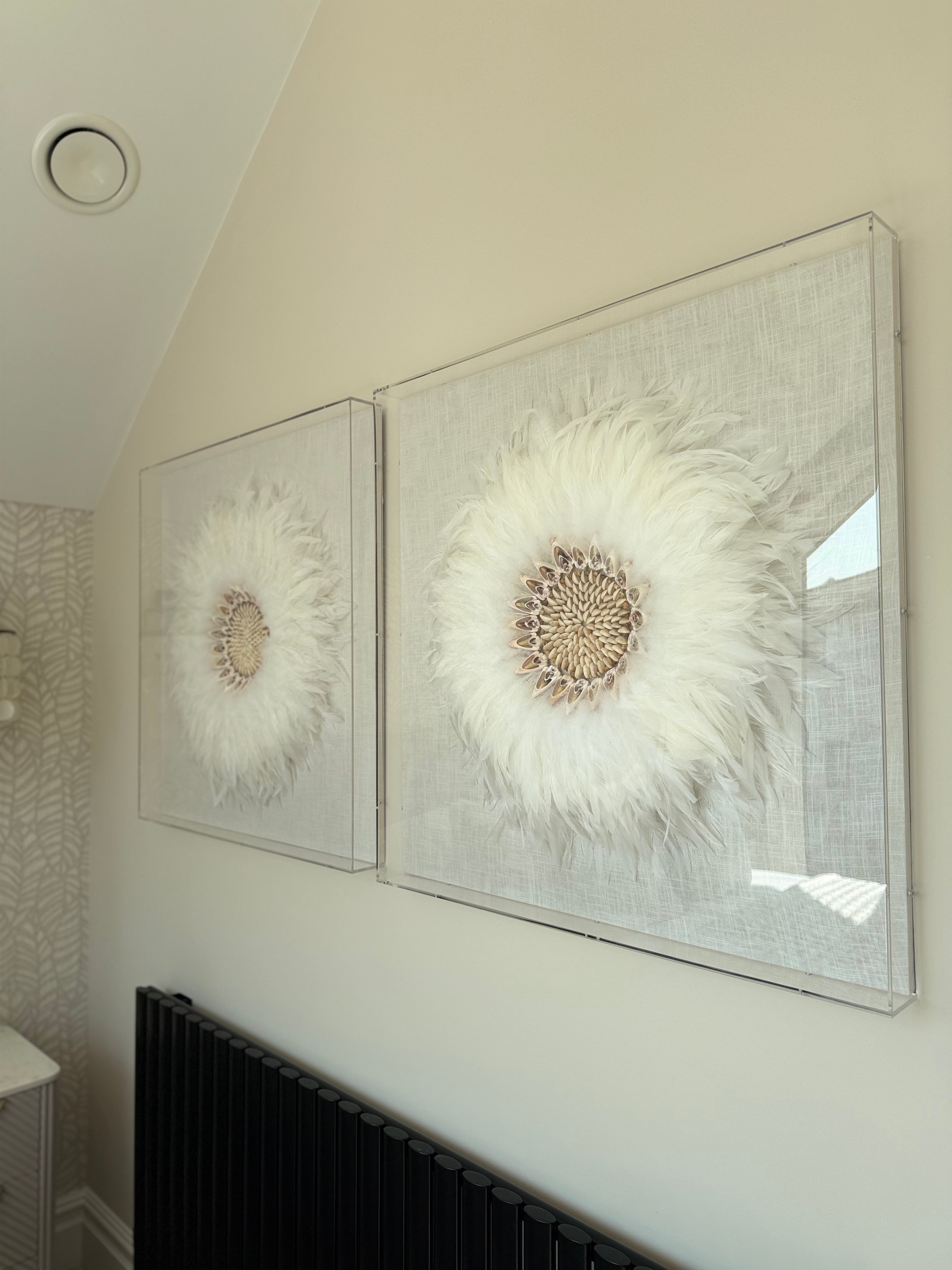 Feather & Shell Box Wall Art