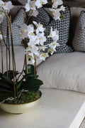 White Orchid in Gold Glass Bowl