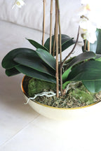 White Orchid in Gold Glass Bowl