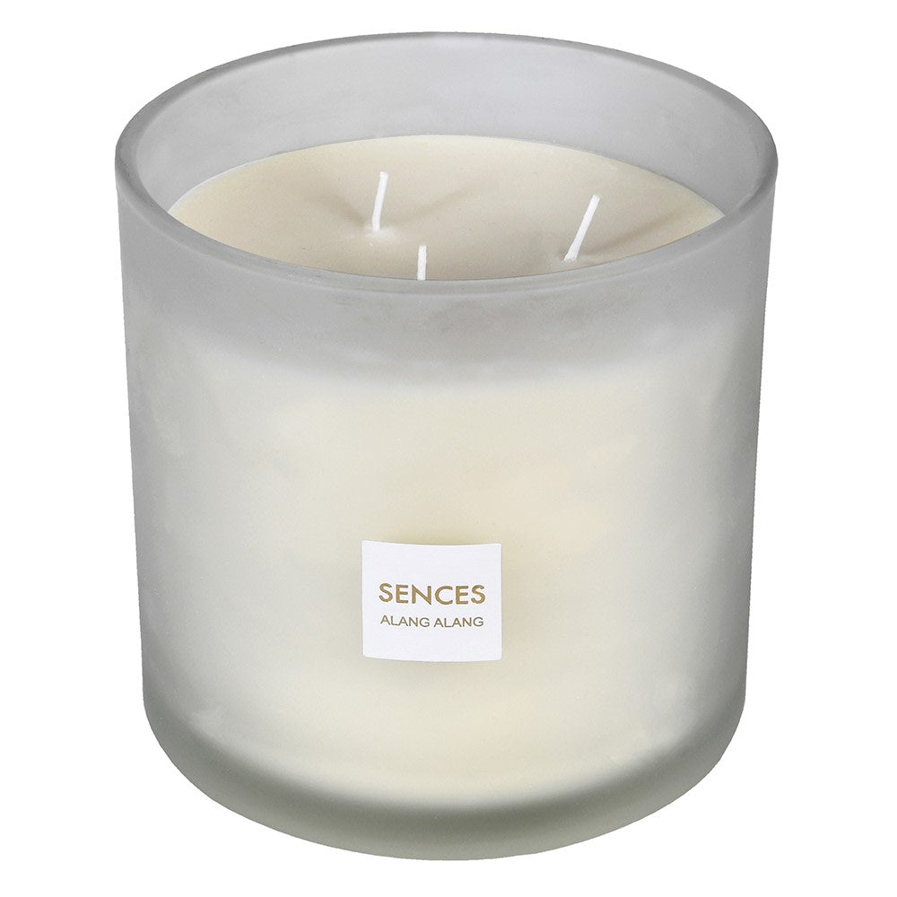 Sences White Alang Alang Diffuser