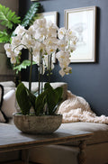 Ex Large Stone-Look Bowl Orchid