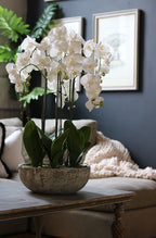 Ex Large Stone-Look Bowl Orchid