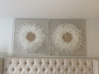 Feather & Shell Box Wall Art