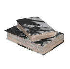 Set of 2 Brush Stroke Book Boxes