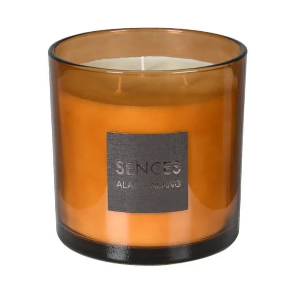 Sences Amber Alang Alang Diffuser