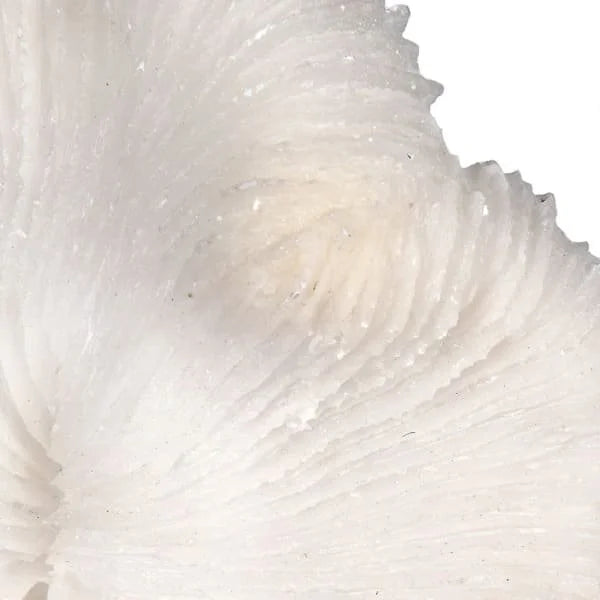 Faux Coral On Stand