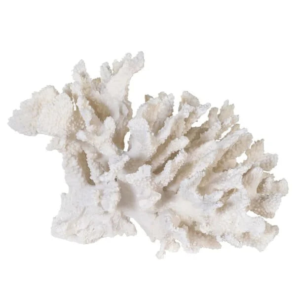White Coral