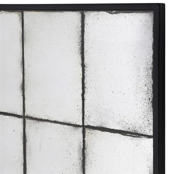 Black Frame Ant Mirror