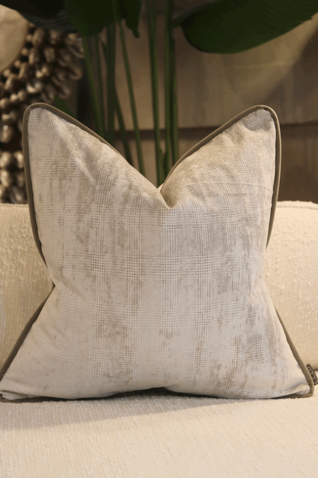 Limited Edition 'Sauge Champagne'